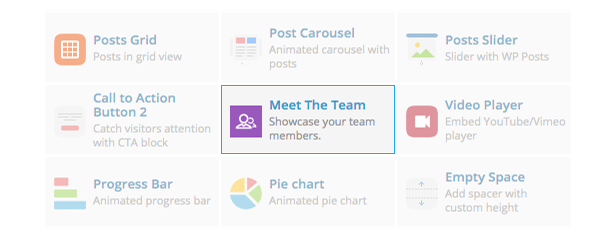 Meet the Team Shortcode for WPBakery Page Builder (formerly Visual Composer) - 3