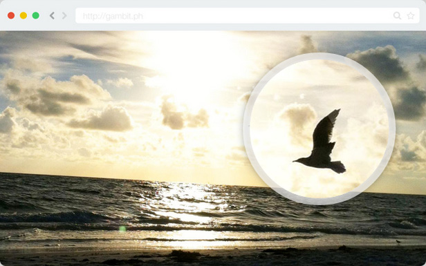 A preview of Loupe Magnifying Glass WordPress with a white border