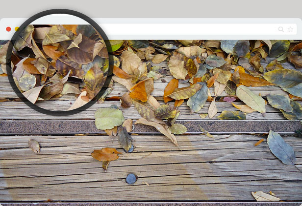 A preview of Loupe Magnifying Glass WordPress with a smaller size and a black border